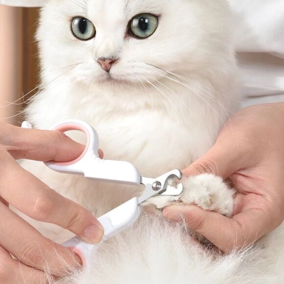 🎯 SALE🎯Modern Small Pet Nail Clipper - Picture 5 of 13